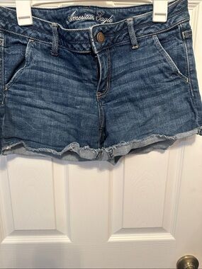 American Eagle Outfitters Light Blue Denim Cutoff Shorts
